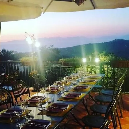 Nerodivino