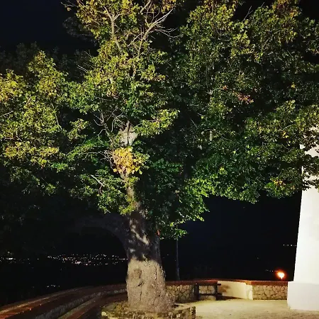 Nerodivino Torchiara