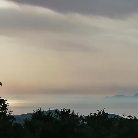 Nerodivino * Torchiara