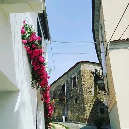 Nerodivino * Torchiara